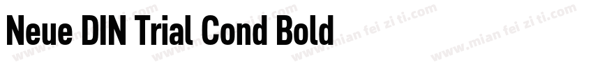 Neue DIN Trial Cond Bold字体转换